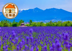 北海道の移住情報まとめ　子育て世代に有益な制度や補助金、市町村別サイトの紹介など