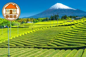 静岡県の移住情報まとめ　子育て世代に有益な制度や補助金、市町村別サイトの紹介など