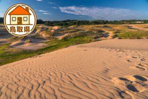 鳥取県の移住情報まとめ　子育て世代に有益な制度や補助金、市町村別サイトの紹介など