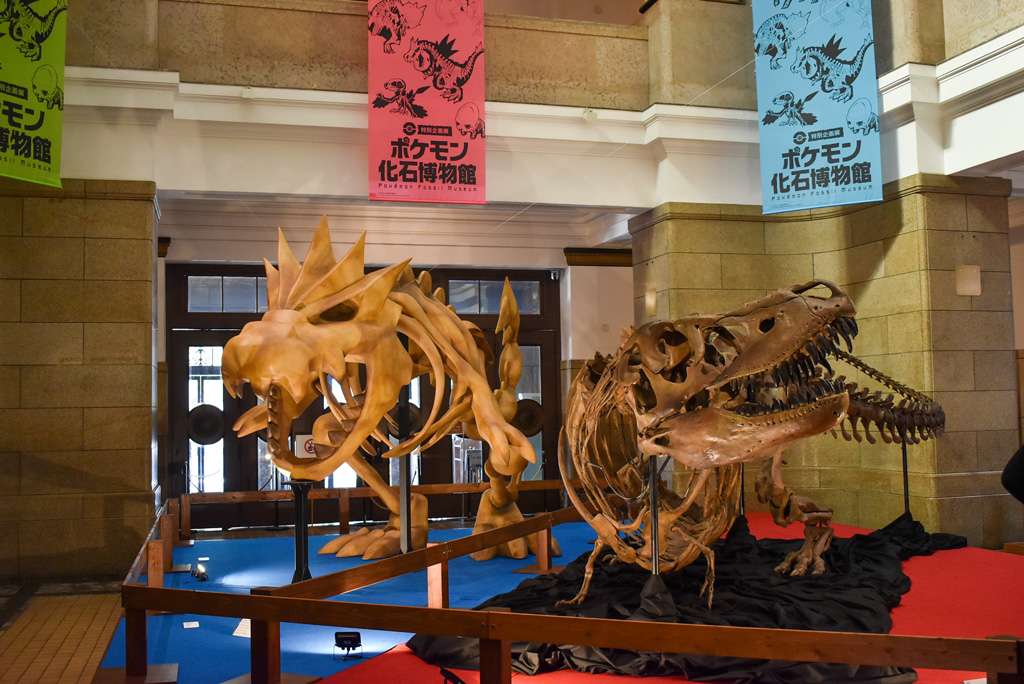 「ガチゴラス」の実物大骨格想像模型と、肉食恐竜「タルボサウルス・バタール」の全身骨格標本/国立科学博物館(東京都/台東区)