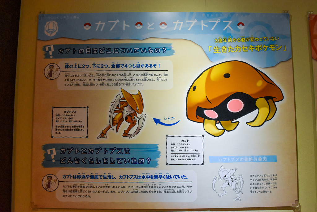 カブトとしんかしたカブトプスのパネル/国立科学博物館(東京都/台東区)