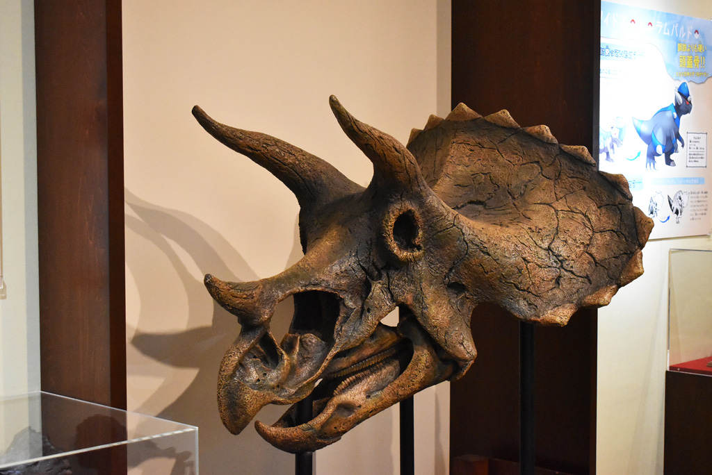 トリケラトプス・ホリダスの頭部(1/2サイズ)/国立科学博物館(東京都/台東区)