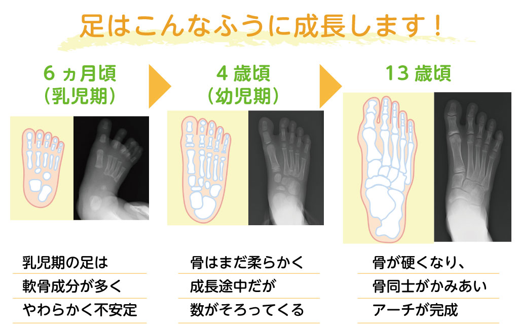 足はこんなふうに成長します！