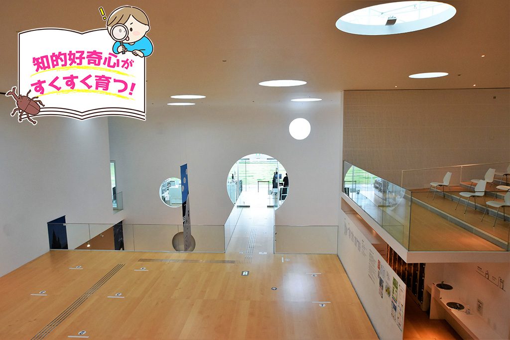 横須賀美術館（神奈川県/横須賀市）