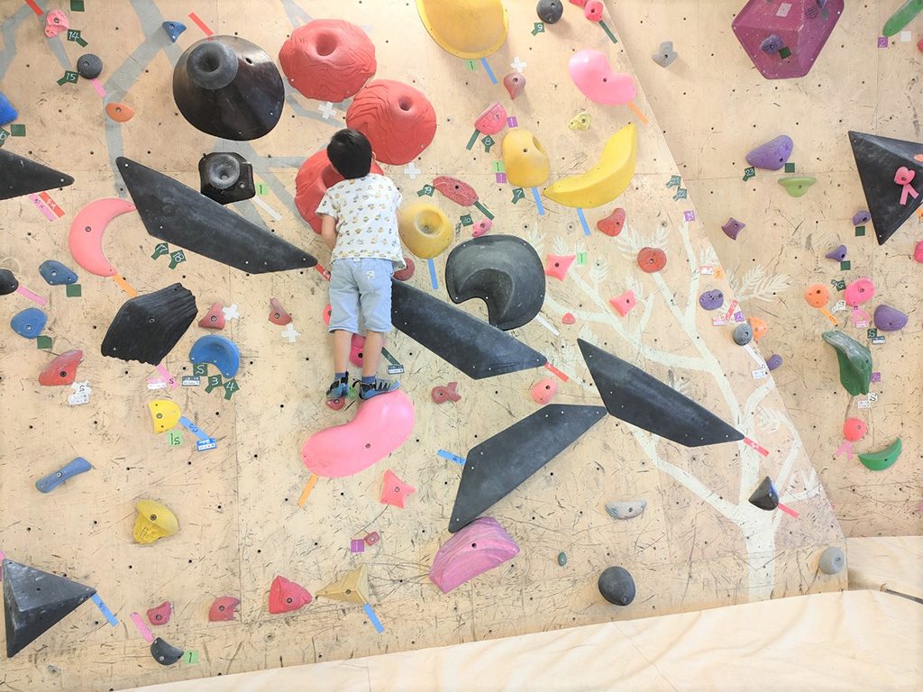 グリーンアロー ボルダリングパーク モラージュ柏店（千葉県/柏市）