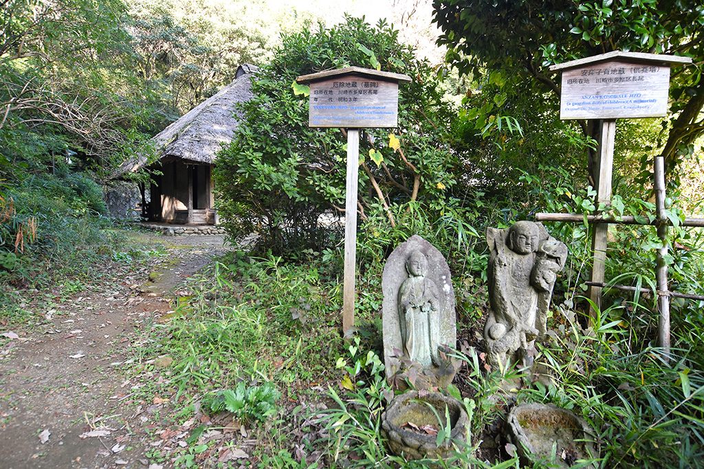 川崎市立日本民家園（神奈川県）