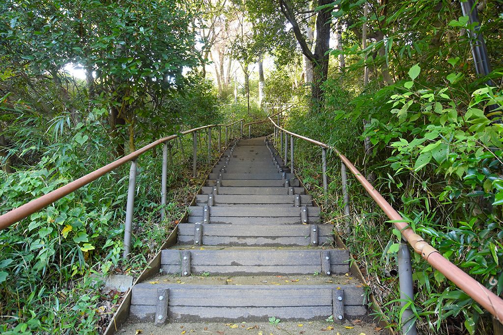 川崎市立日本民家園（神奈川県）