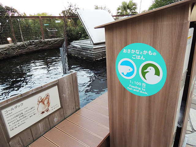 コイやカモのエサのカプセル販売/横浜・八景島シーパラダイス(神奈川県/横浜市)