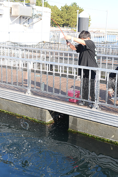 「魚釣り」の様子/横浜・八景島シーパラダイス(神奈川県/横浜市)