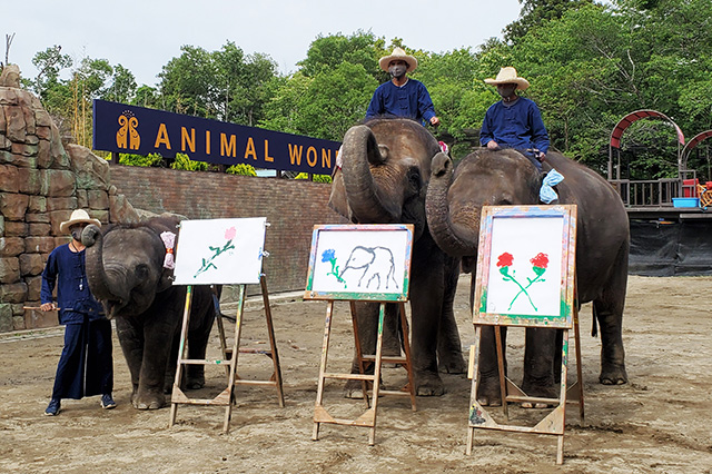 ゾウたちの得意技「お絵描き」/アニマルワンダーリゾウト 市原ぞうの国(千葉県/市原市)