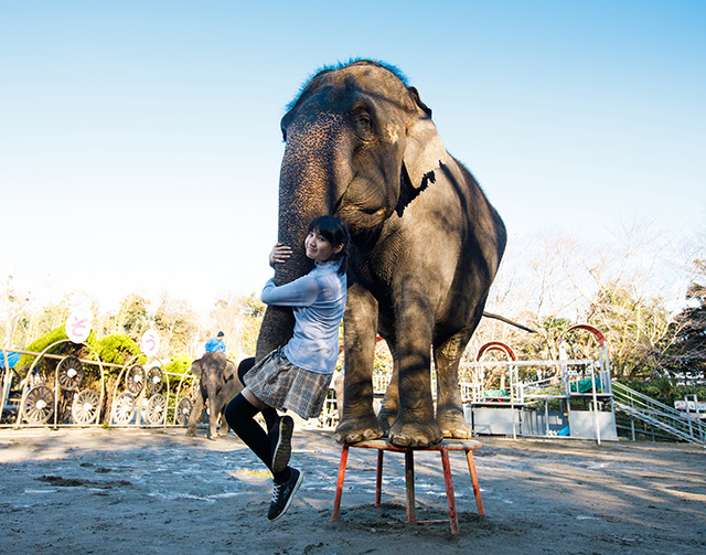 「ぞうさんリフト」の様子/アニマルワンダーリゾウト 市原ぞうの国(千葉県/市原市)