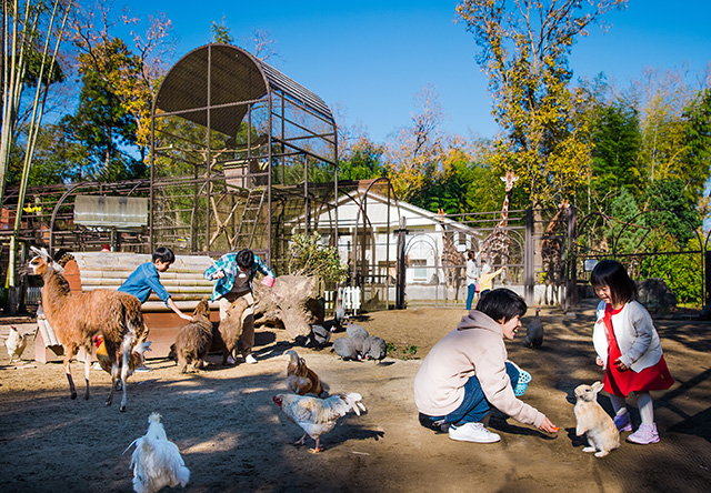 「動物たちにおやつ」の様子/アニマルワンダーリゾウト 市原ぞうの国(千葉県/市原市)