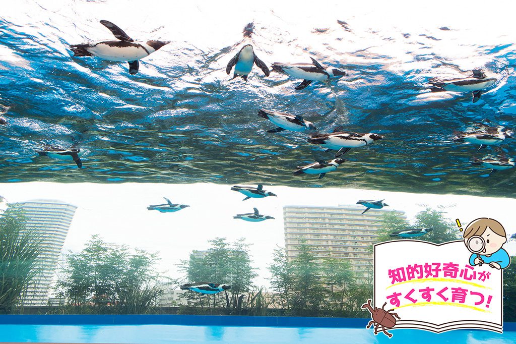 サンシャイン水族館（東京都/豊島区）