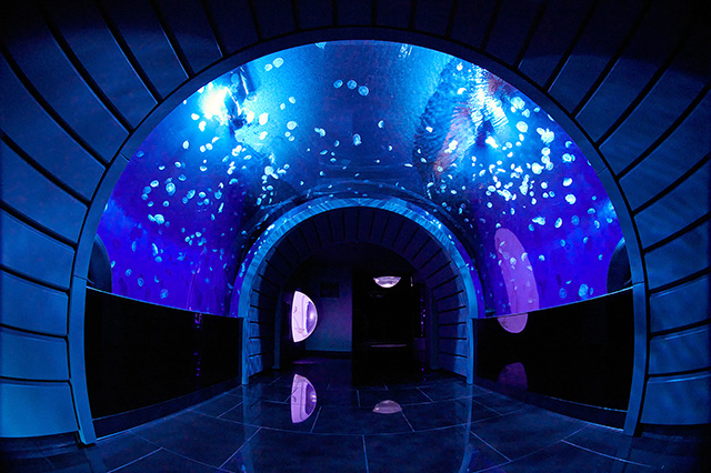 クラゲトンネル/サンシャイン水族館(東京都/豊島区)