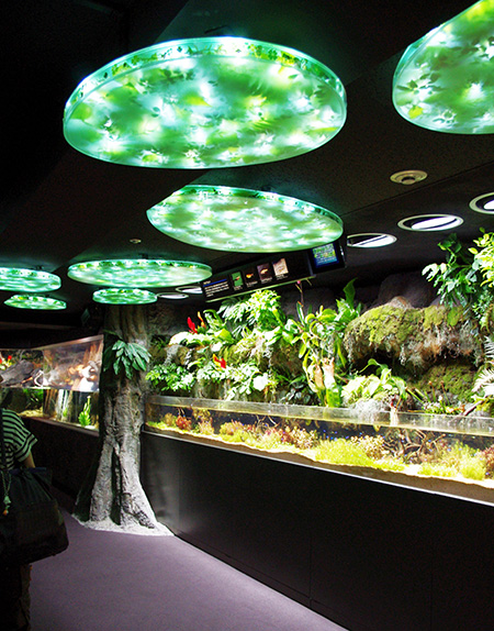アクアプランツ/サンシャイン水族館(東京都/豊島区)