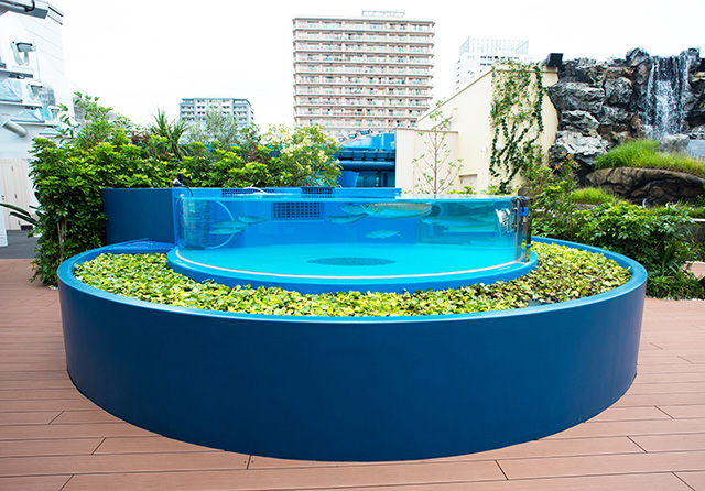 円形の水槽「きらめきの泉」/サンシャイン水族館(東京都/豊島区)