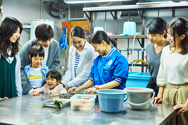 エサやり体験/サンシャイン水族館(東京都/豊島区)
