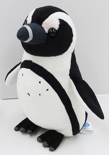 オリジナルケープペンギンぬいぐるみ/サンシャイン水族館(東京都/豊島区)