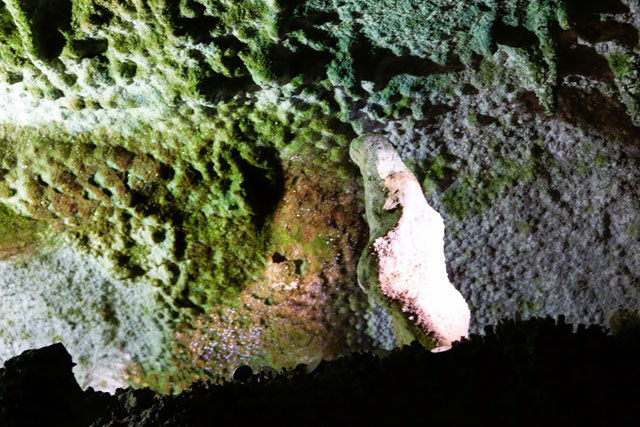 面不動鍾乳洞「ご母堂窟」/洞川温泉（奈良県／天川村）