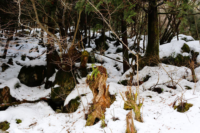 山肌を被うのは大きな岩ばかり/洞川温泉（奈良県／天川村）