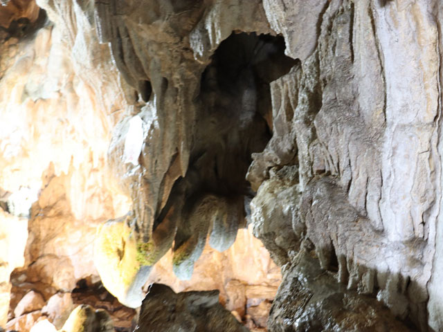 五代松鍾乳洞「鷹の大鍾乳石」/洞川温泉（奈良県／天川村）
