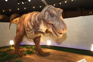 京都市青少年科学センターは、恐竜や宇宙・昆虫など子どもが夢中になる見どころ満載
