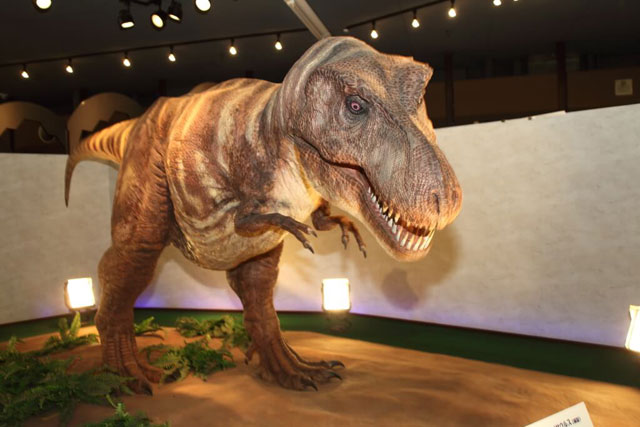 獲物をねらう吠え声と人間の声で解説してくれる声がきこえる/京都市青少年科学センター（京都府）