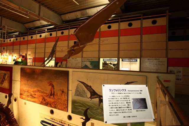 3階天井に翼竜プテラノドンやランフォリンクスの全身模型/京都市青少年科学センター（京都府）