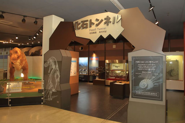 化石トンネルの入り口/京都市青少年科学センター（京都府）