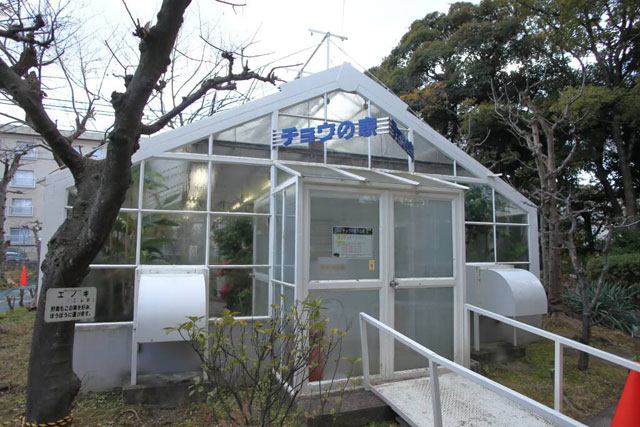 最大15名までの入室できる「チョウの家」/京都市青少年科学センター（京都府）