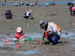 北海道のおすすめ潮干狩り場（2025）能取湖や尾岱沼などのアサリを採ろう