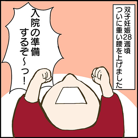 私が双子を妊娠するなんて！〜漫画でレポート 驚きだらけの双子妊娠〜 その18-1
