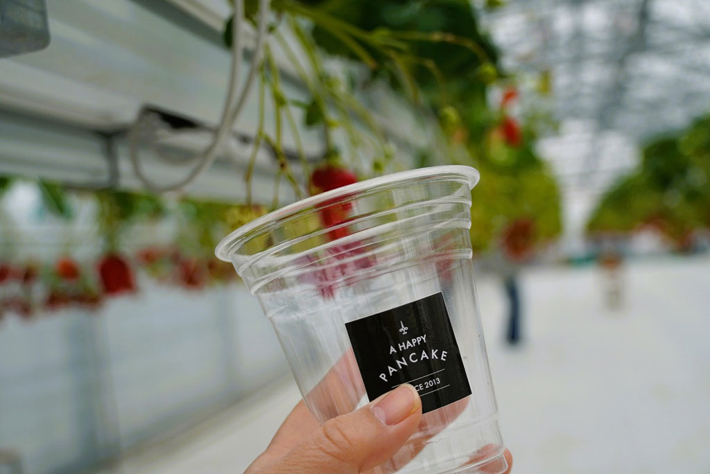 摘みとるカップ/幸せのパンケーキ 淡路島リゾート(兵庫県/淡路市)