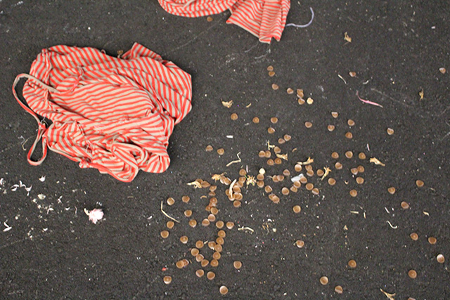 2階の展示物/「Chim↑Pom展:ハッピースプリング」/森美術館(東京都/港区)