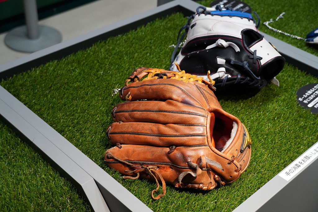 大山悠輔選手のグローブ、梅野隆太郎選手のキャッチャーミット/甲子園歴史館（兵庫県／西宮市）
