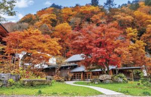 「八丁の湯」関東最後の秘湯！自噴源泉かけ流しの湯が自慢