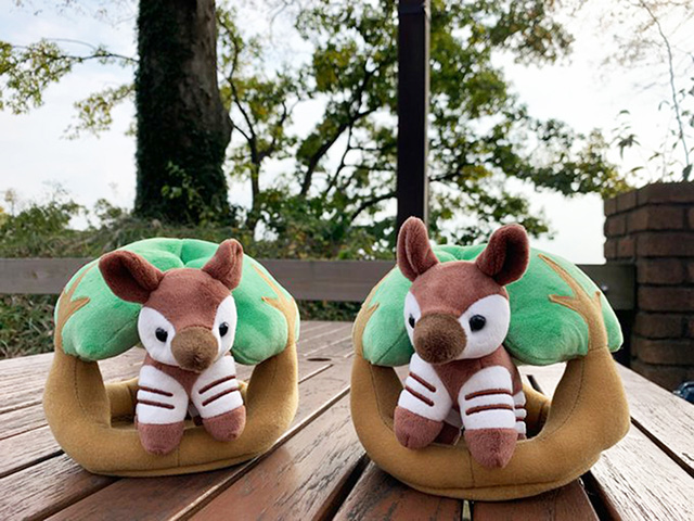 ののはなギフトショップ「サファリハウスオカピ」/横浜市立金沢動物園(神奈川県/横浜市)