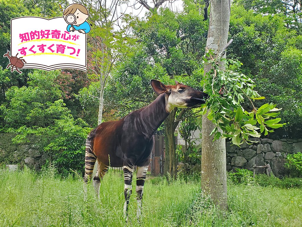 横浜市立金沢動物園（神奈川県/横浜市）