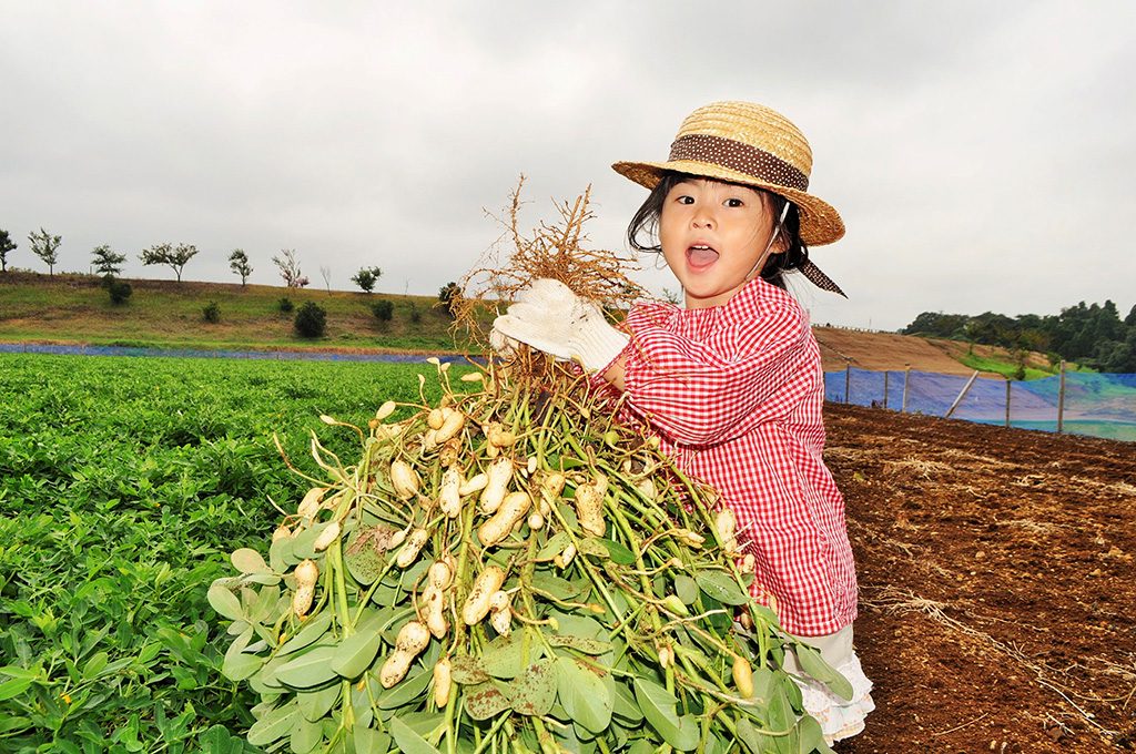 収穫体験の様子/東京ドイツ村(千葉県/袖ケ浦市)