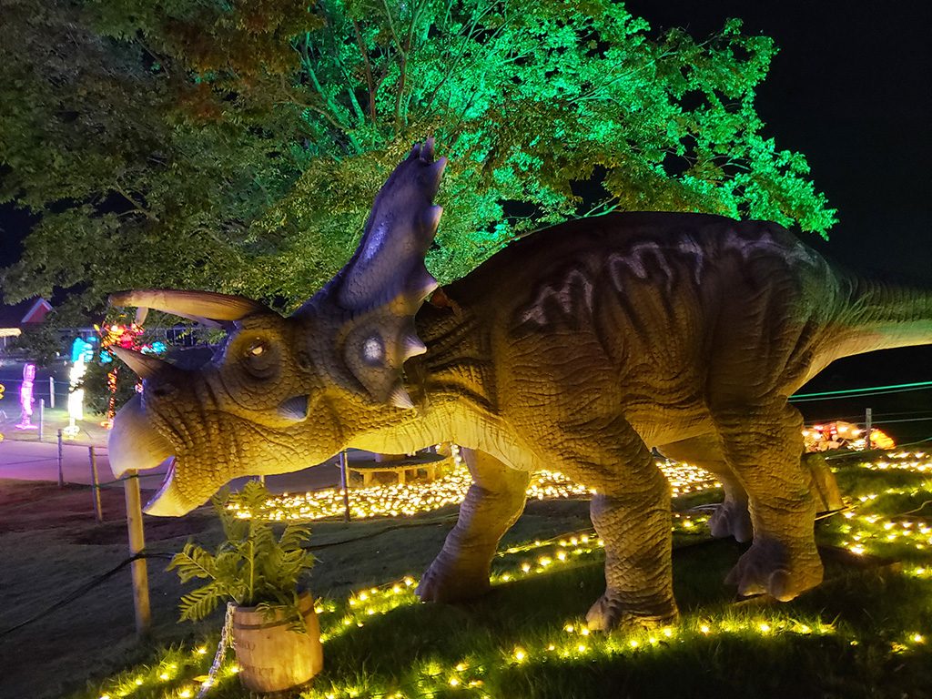 トリケラトプス/東京ドイツ村(千葉県/袖ケ浦市)