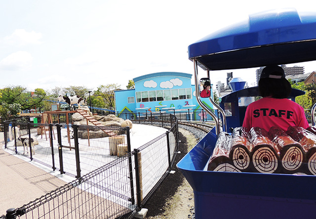 「どうぶつ広場」の外周223ｍを走る豆汽車/あらかわ遊園（東京都／荒川区）