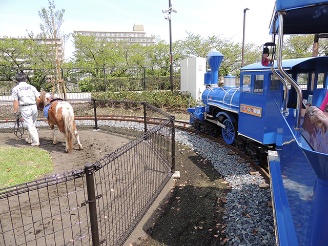 ポニーが歩いている横を「豆汽車」が追いかける/あらかわ遊園（東京都／荒川区）