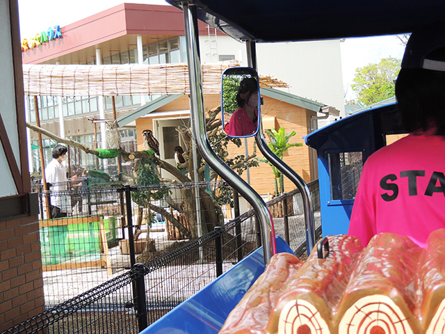 フクロウたちの横を走る豆汽車/あらかわ遊園（東京都／荒川区）