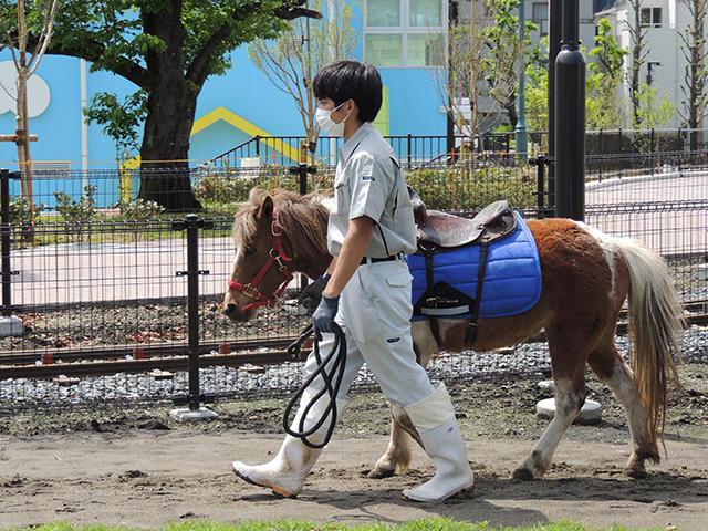 子ども限定でポニーに乗ることができる/あらかわ遊園（東京都／荒川区）