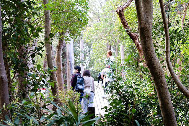 エネルギッシュの森/白浜エネルギーランド（和歌山県/白浜町）