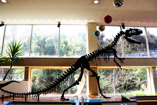 「アロサウルス」の骨格標本/白浜エネルギーランド（和歌山県/白浜町）