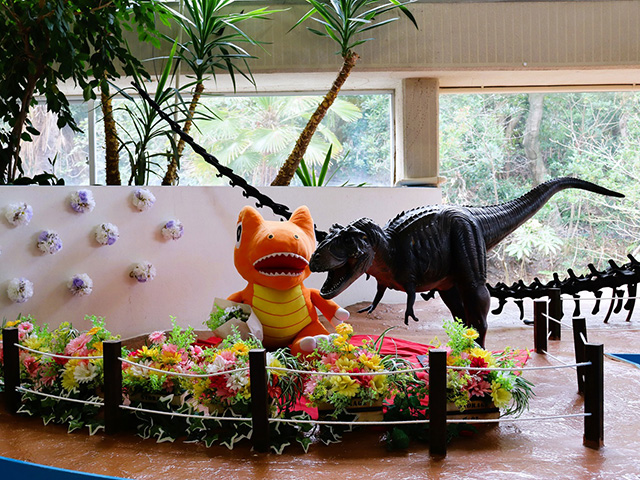 写真スポット/白浜エネルギーランド（和歌山県/白浜町）