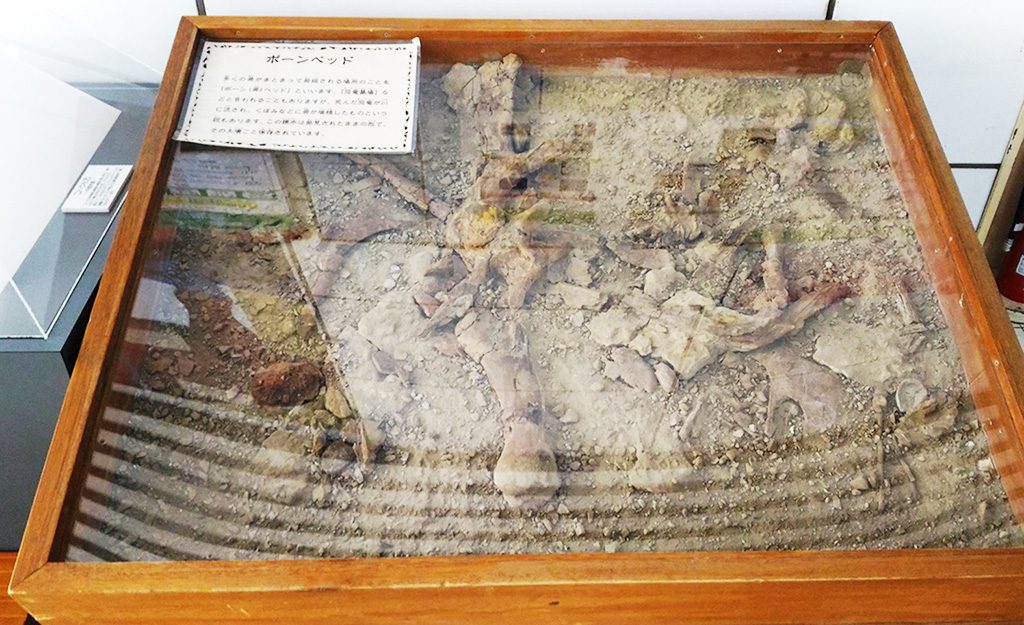 ボーンベッド/板橋区立教育科学館(東京都)