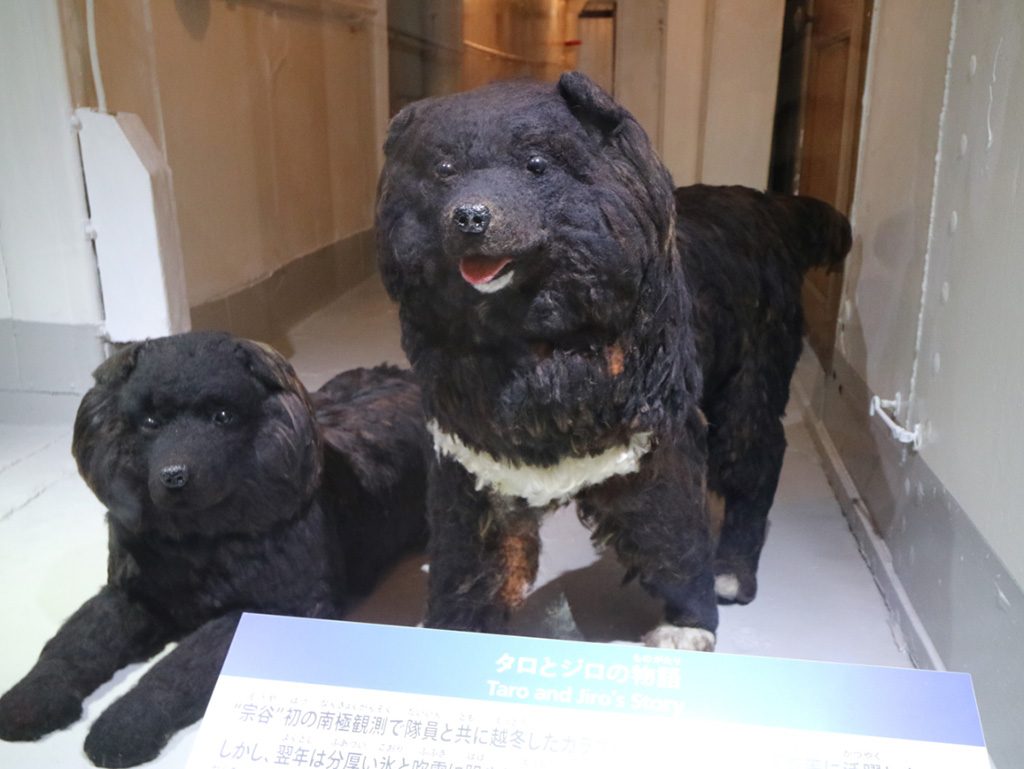 タロとジロ/船の科学館(東京都/品川区)