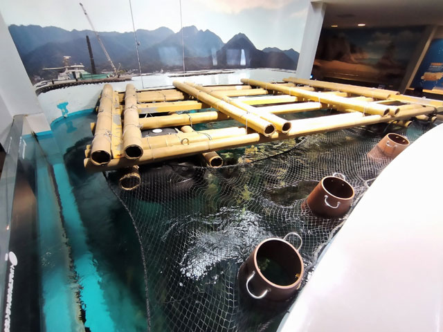 広島名産のカキの養殖風景を再現/宮島水族館（広島県／廿日市）